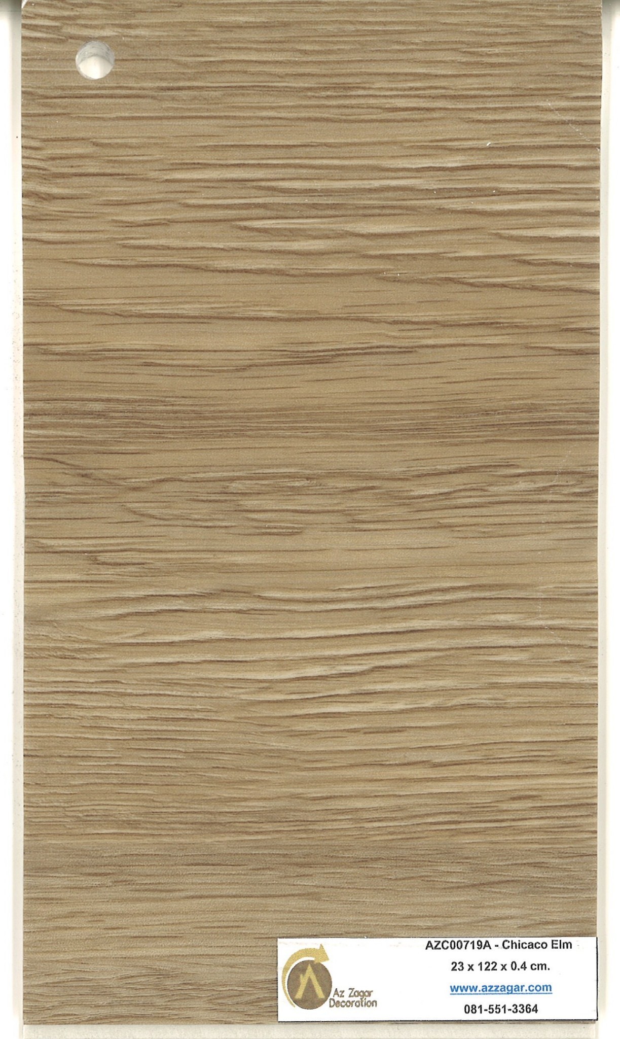 Chicaco Elm (AZC 00719A)